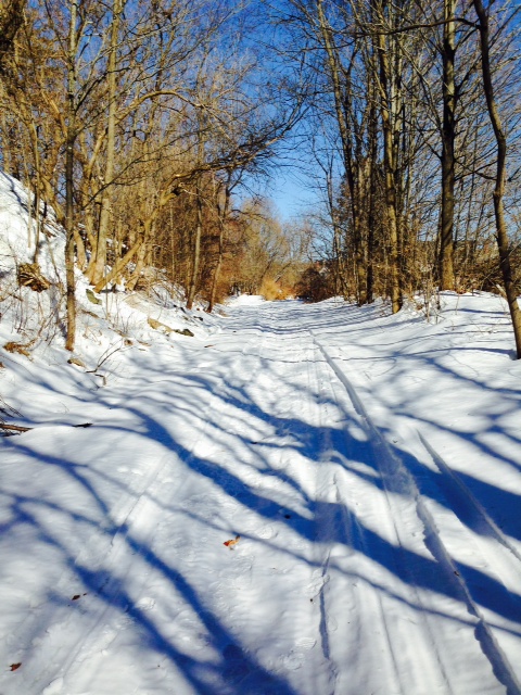 Photo by Rainie Kelly