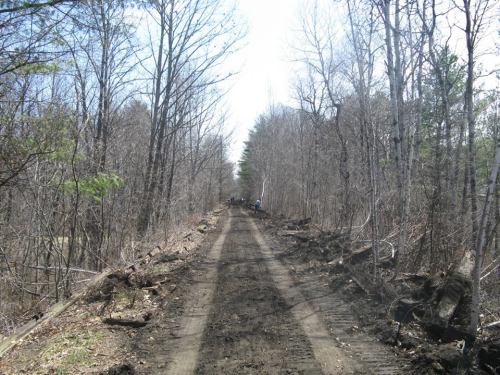 1622233_693747750692453_7611532552203649947_n