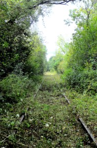 Cleared trail behind Miracle Mile, looking west
