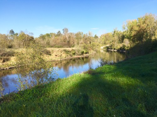 MRGWestCOrmorantterritory