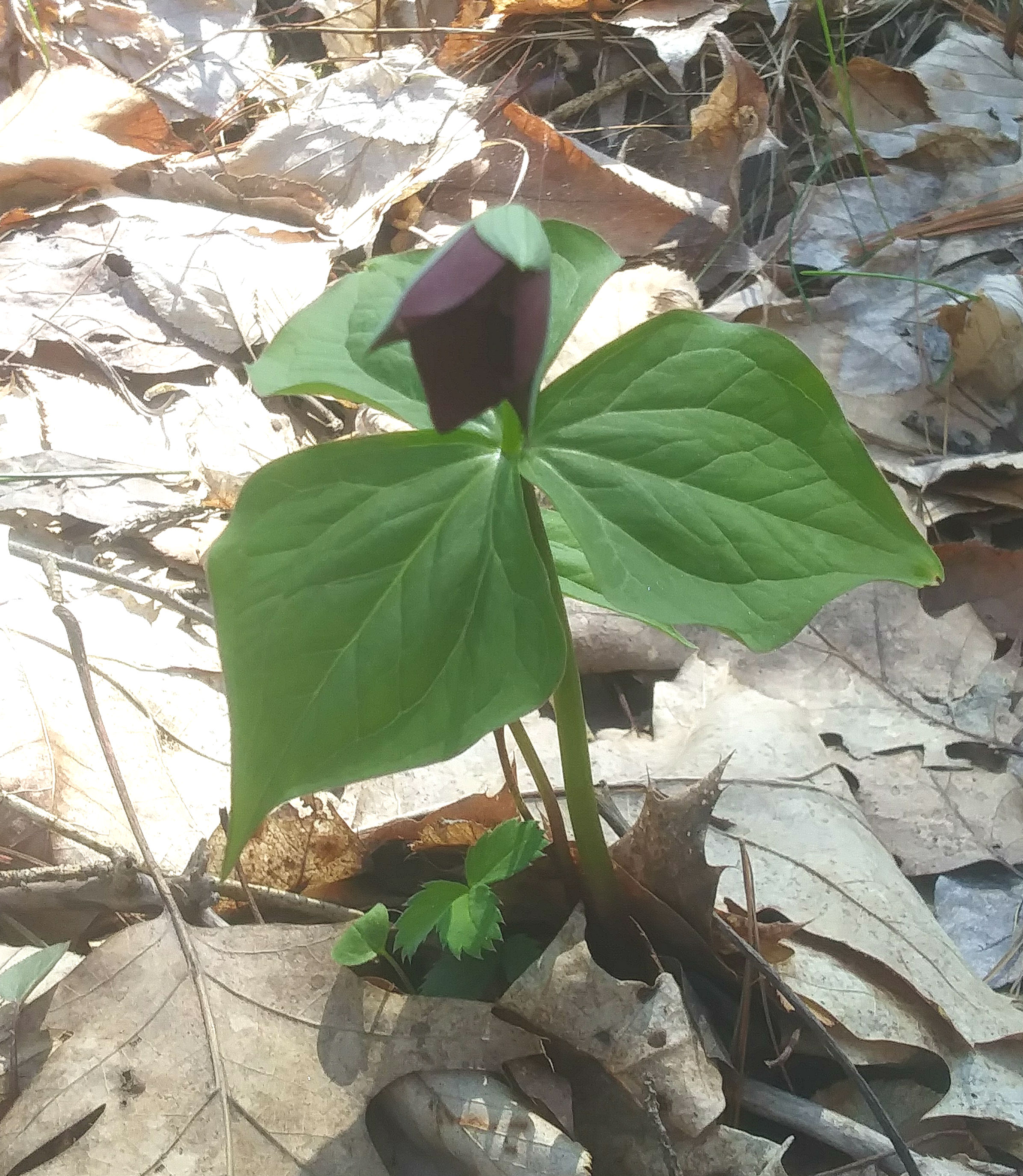 0506191341_Burst01_2