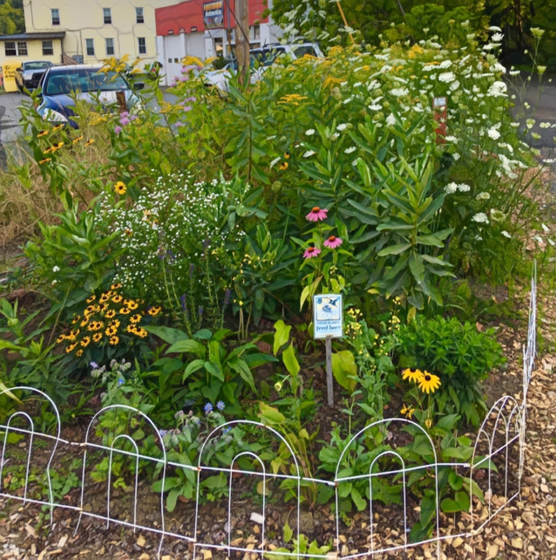 Image-1 - 2019-08-12T214914.202