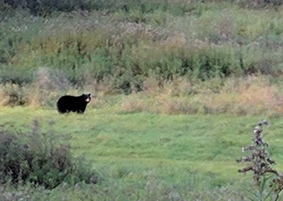 IMG_20171014_160755 (1)