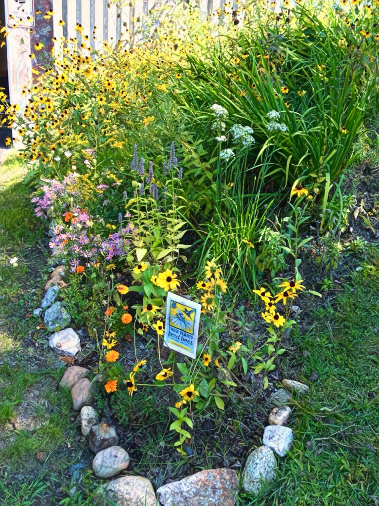 This image has an empty alt attribute; its file name is prsm_0220.jpg